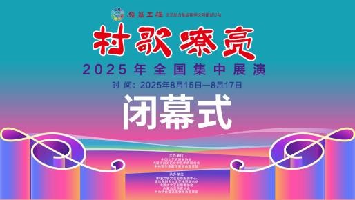 无法加载